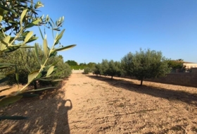 Montferri 888&nbsp;m²