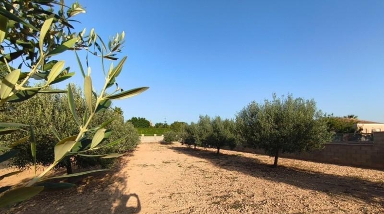 Tarragona - Montferri - 888m2
