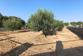 Montferri 888&nbsp;m²