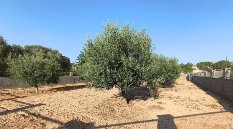 Tarragona - Montferri - 888m2