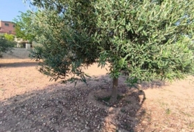 Montferri 888&nbsp;m²