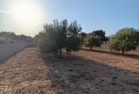 Montferri 888&nbsp;m²
