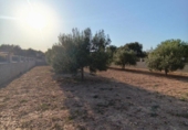 Terreno no urbanizable en venta en la España, Montferri, ref: TR410058 foto