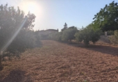 Terreno no urbanizable en venta en la España, Montferri, ref: TR410058 foto