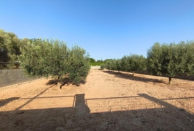 Montferri 888&nbsp;m²