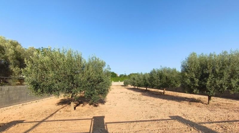 Tarragona - Montferri - 888m2