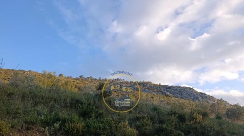 València - Ontinyent - 23100m2