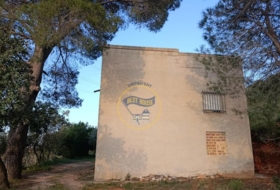 Foto 11