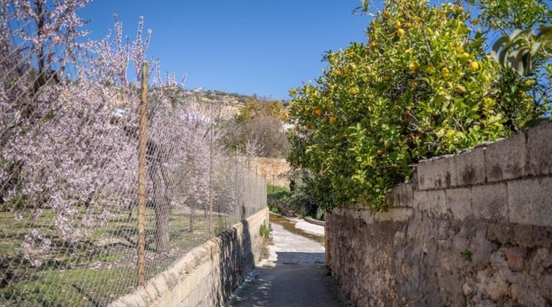 Granada - Albuñuelas - 118m2