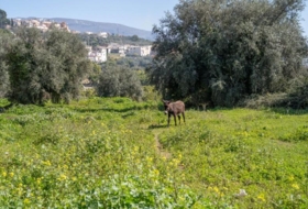 Albuñuelas 118&nbsp;m²