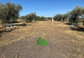 Xalet independent amb terreny en venda a la España, Montijo, ref.: TR413133 foto