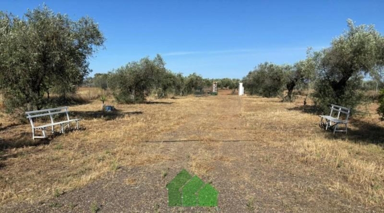 Badajoz - Montijo - 4810m2