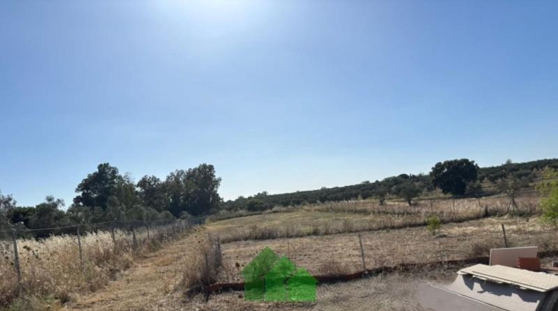 Badajoz - Montijo - 4810m2