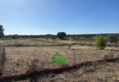 Xalet independent amb terreny en venda a la España, Montijo, ref.: TR413133 foto