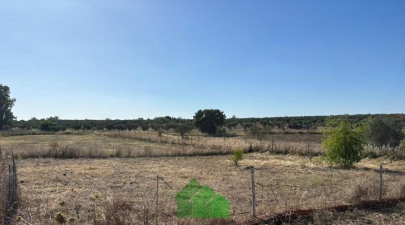 Badajoz - Montijo - 4810m2