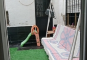 Casa de pueblo en venta en la España, Fuente Álamo, ref: TR394911 foto
