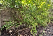 Urban land for sale on España, Cijuela, ref: TR413139 photo