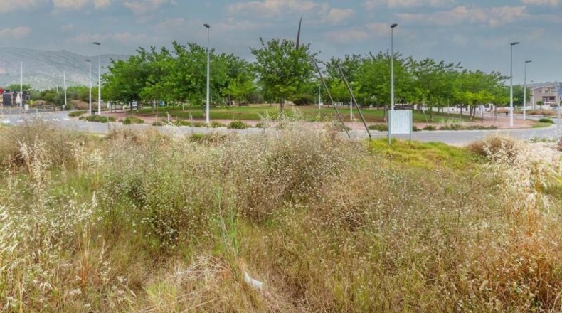 Castellón - Oropesa del Mar - 436m2