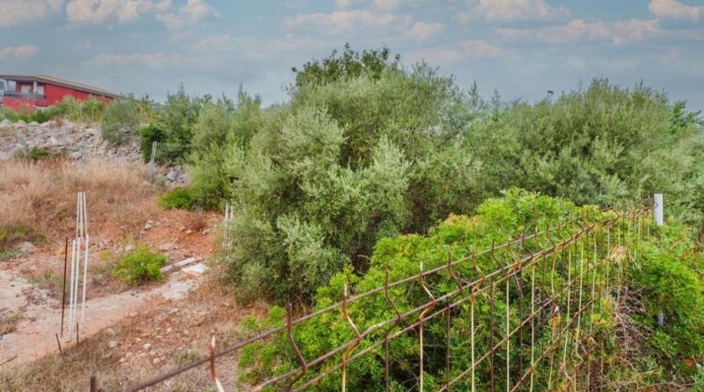 Castellón - Oropesa del Mar - 436m2