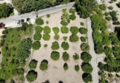 Suelo urbano en venta en la España, Murcia, ref: TR125709 foto