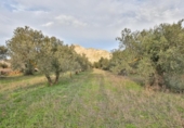 Land suitable for development for sale on España, Nigüelas, ref: TR378356 photo