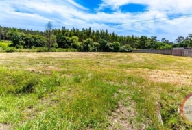 Carballo 1878&nbsp;m²