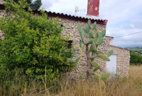 Foto 8