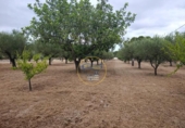 Detached villa with land for sale on España, Ontinyent, ref: TR413149 photo