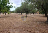 Detached villa with land for sale on España, Ontinyent, ref: TR413149 photo