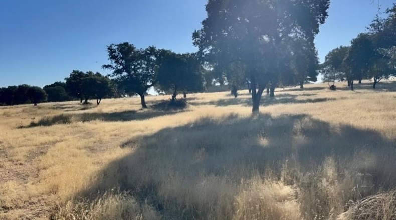Badajoz - Badajoz - 70000m2