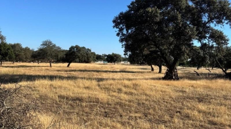 Badajoz - Badajoz - 70000m2