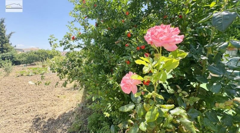 Málaga - Casabermeja - 658m2