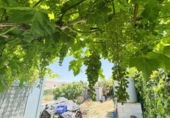 Suelo urbano en venta en la España, Casabermeja, ref: TR413160 foto