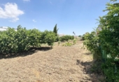 Suelo urbano en venta en la España, Casabermeja, ref: TR413160 foto
