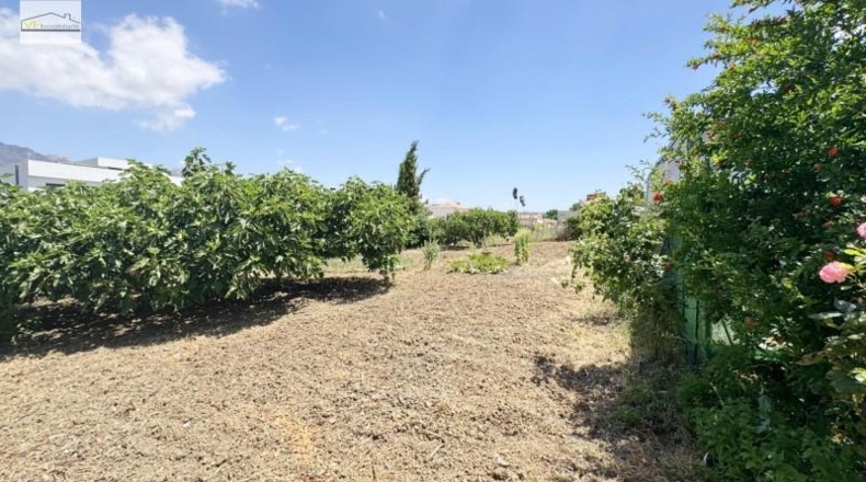Málaga - Casabermeja - 658m2