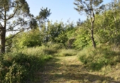 Загородный дом с участком на продажу в городе Cudillero Фото