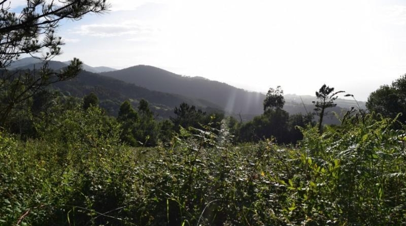 Asturias - Cudillero - 6600m2
