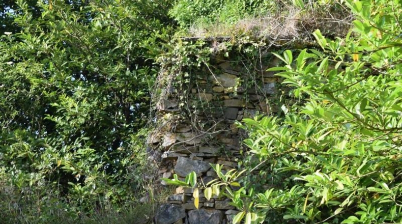 Asturias - Cudillero - 6600m2