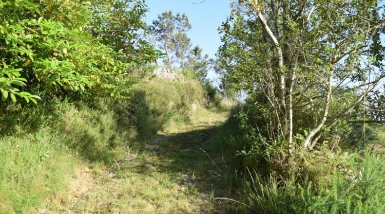 Asturias - Cudillero - 6600m2