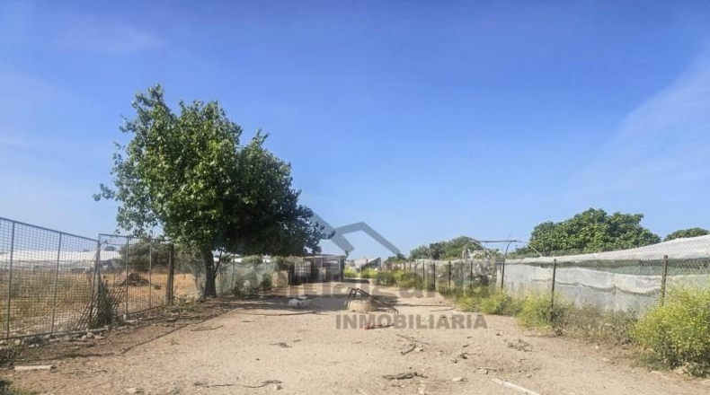 Cádiz - Chipiona - 3302m2