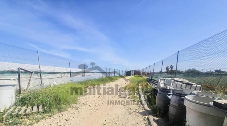 Cádiz - Chipiona - 3302m2