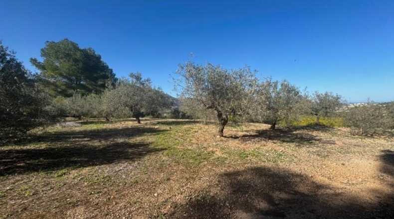 Alicante - Orba - 11465m2