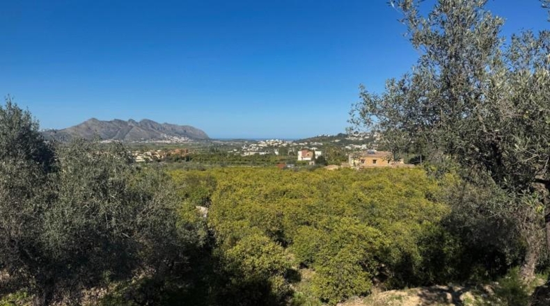 Alicante - Orba - 11465m2