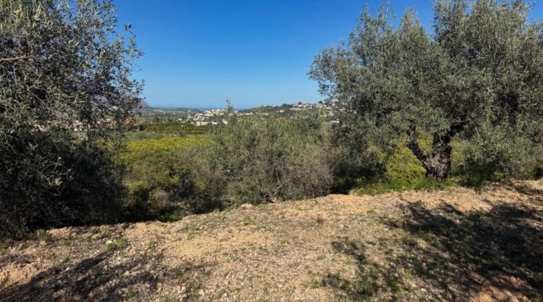 Alicante - Orba - 11465m2