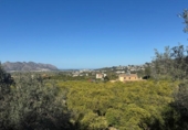 Terreny no urbanitzable en venda a la España, Orba, ref.: TR413165 foto