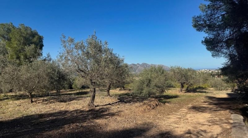 Alicante - Orba - 11465m2