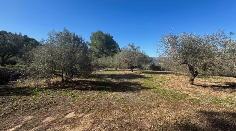 Alicante - Orba - 11465m2