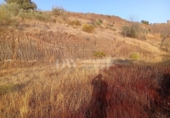 Chalet independiente con terreno en venta en la España, Vélez-Málaga, ref: TR413172 foto