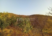 Chalet independiente con terreno en venta en la España, Vélez-Málaga, ref: TR413172 foto