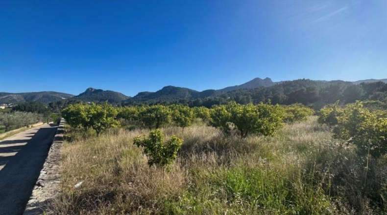 Alicante - Orba - 13615m2
